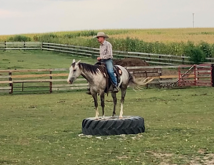 DG-Maverick-on-Tire-2025