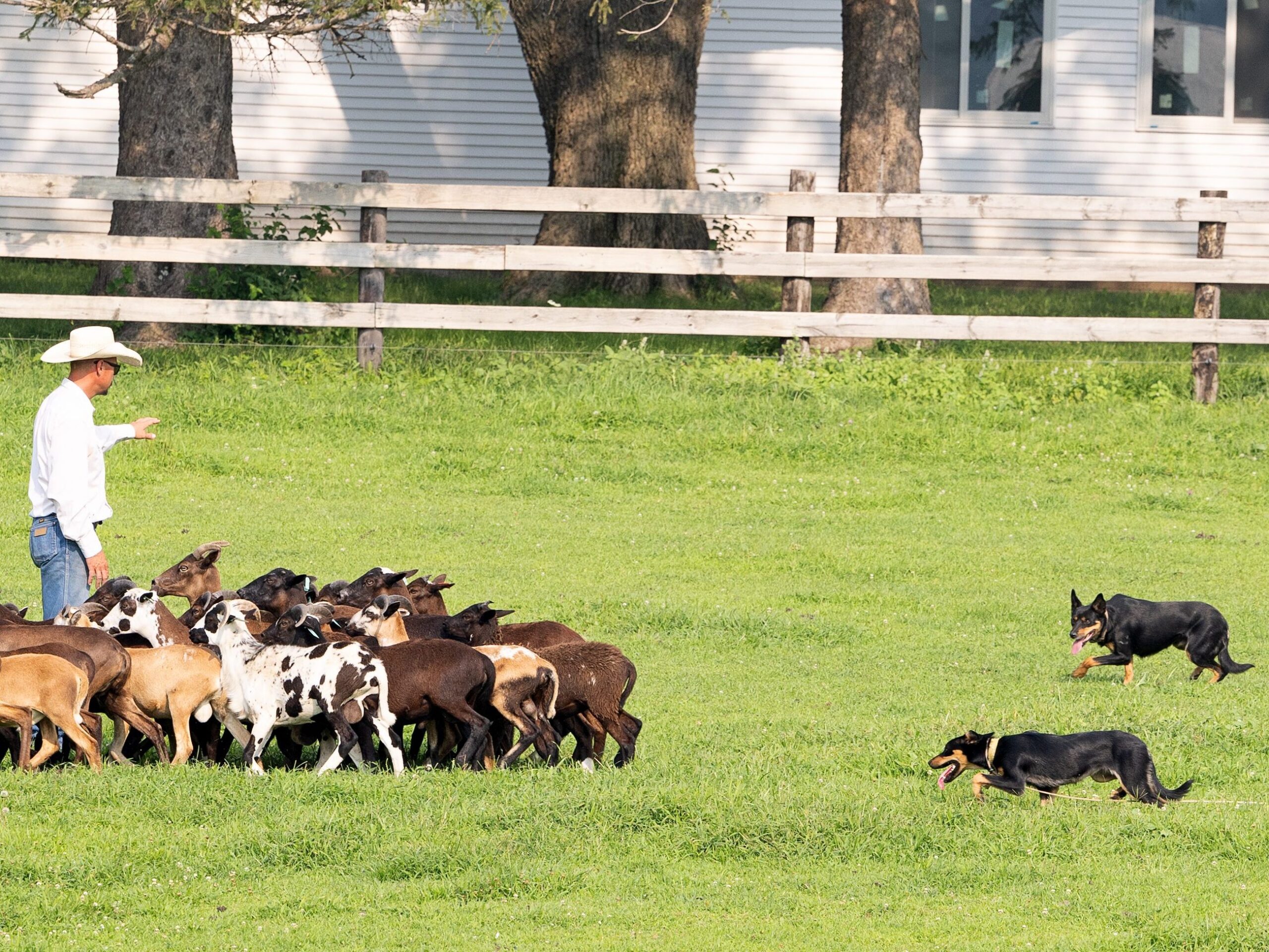 Dusten-Kim-laughing-Will-7.10.24